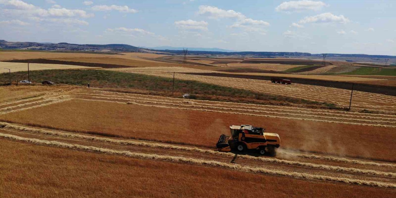 Çiftçi umduğundan daha fazla ürün aldı