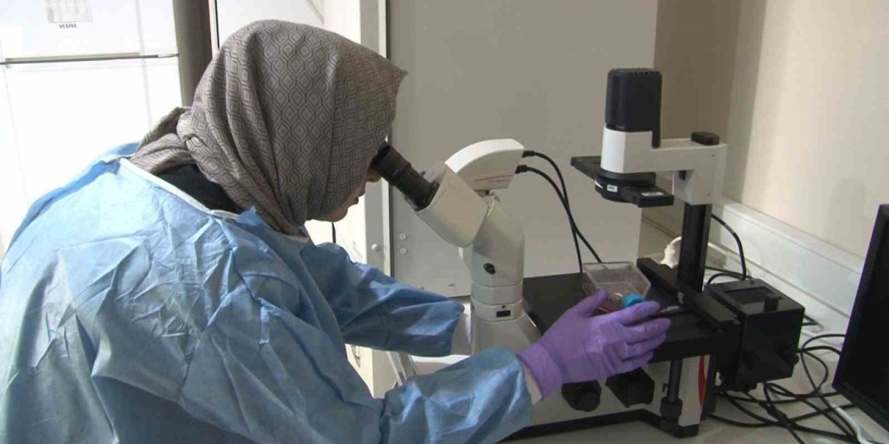 Türkiye’de sıkça görülen mesane kanserinde yeni tedavi yöntemi geliştiriliyor