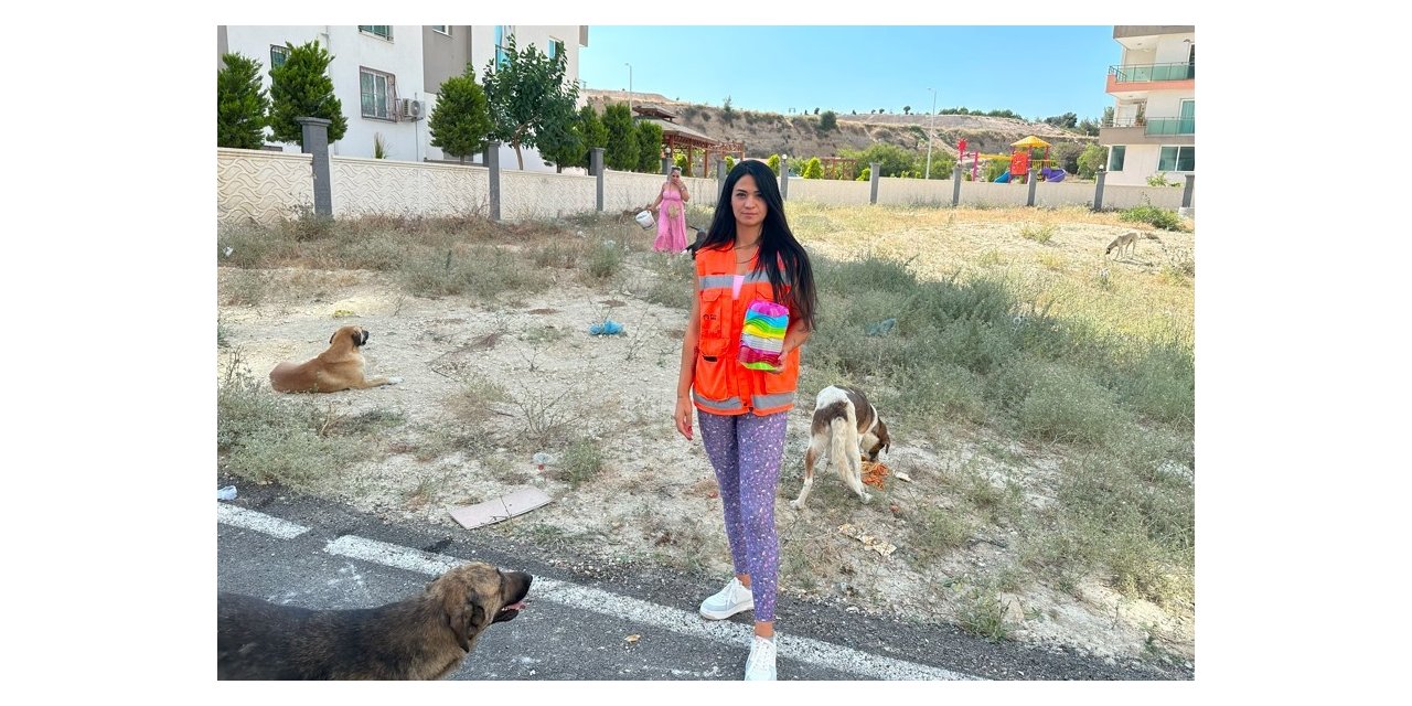 Hayvanseverlerden vatandaşlara ’sıcak hava’ çağrısı