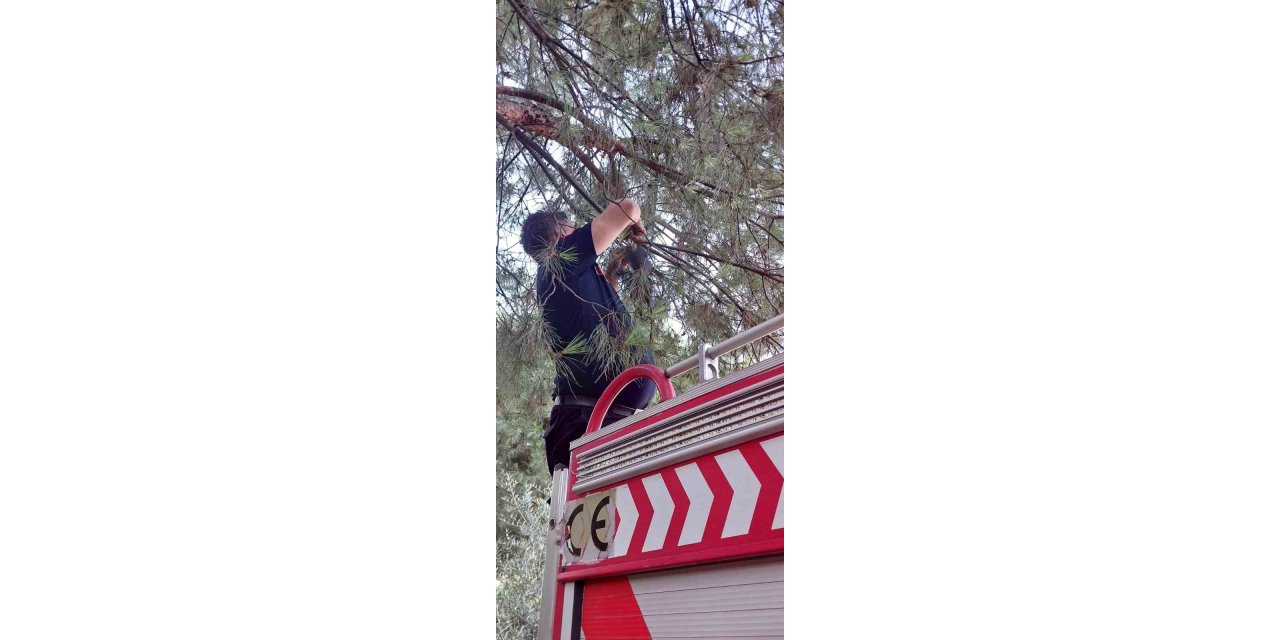 Karganın imdadına itfaiye yetişti