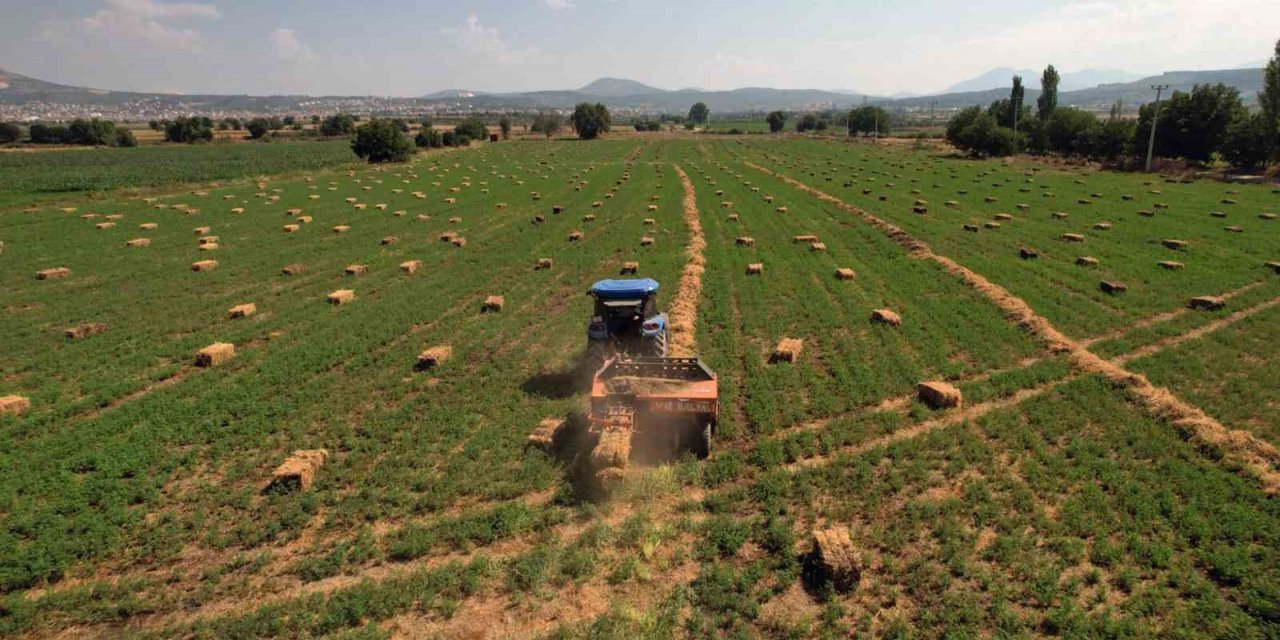 Toprak Büyükşehir’den, üretim kooperatiflerden