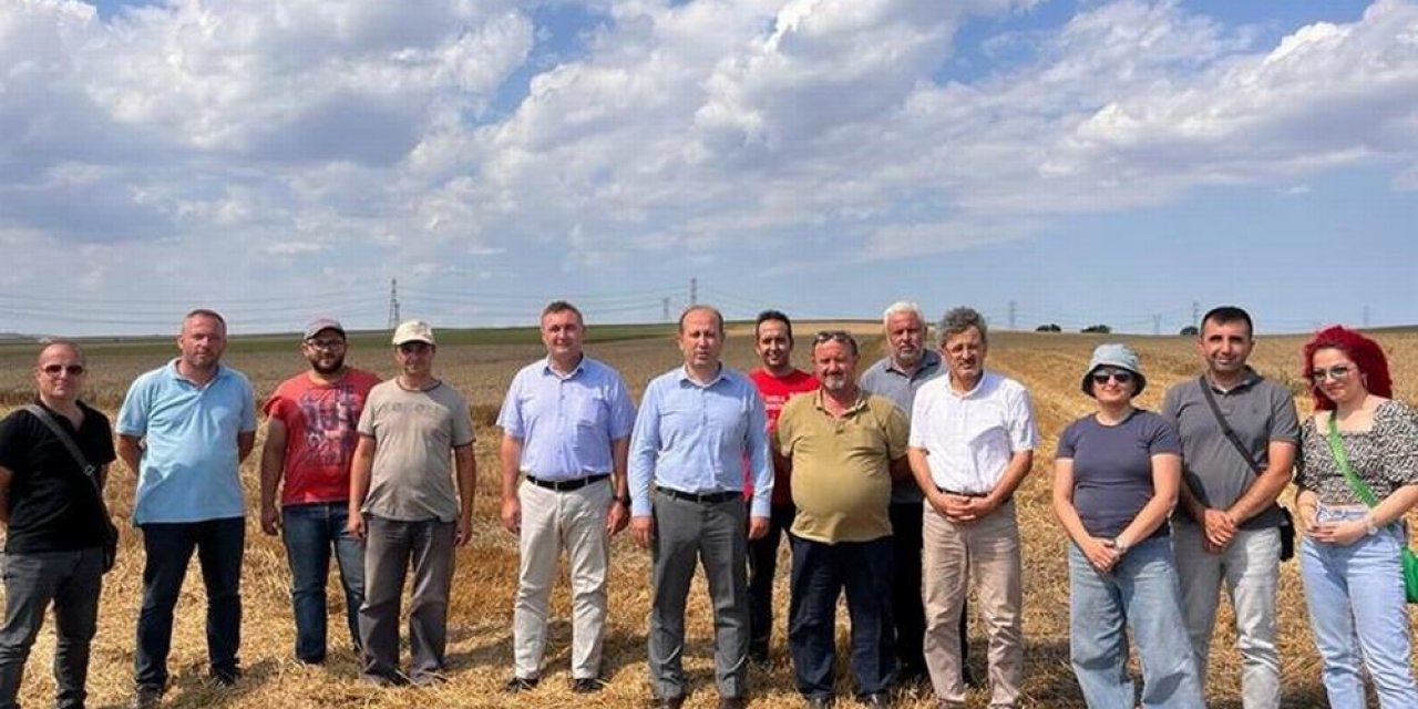 Tekirdağ’da buğday hasadı devam ediyor