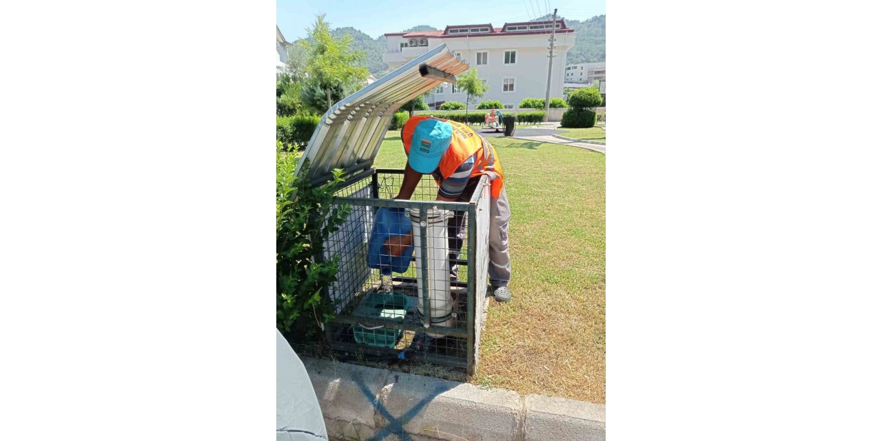 Marmaris Belediyesi kavurucu sıcaklarda can dostlar için seferber oldu