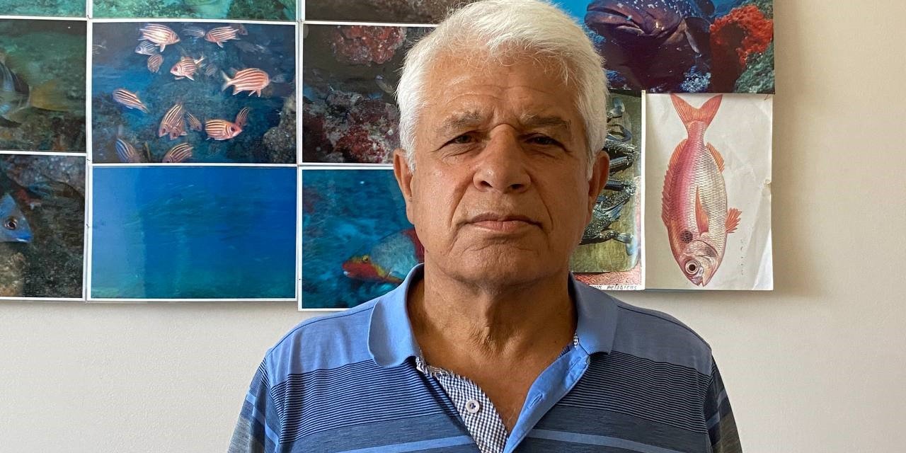 Vatandaşların köpek balığı sanıp taşladığı balık için uzmanından açıklama: “Korkmayın”