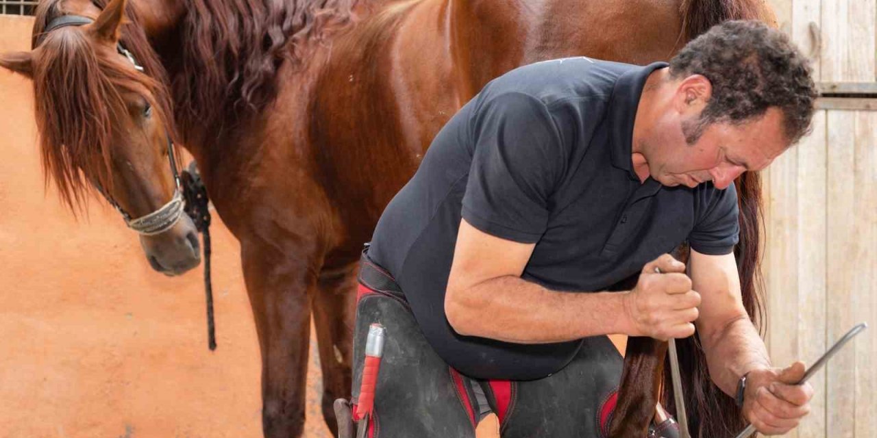 İş garantili nalbantlık kursu açılıyor