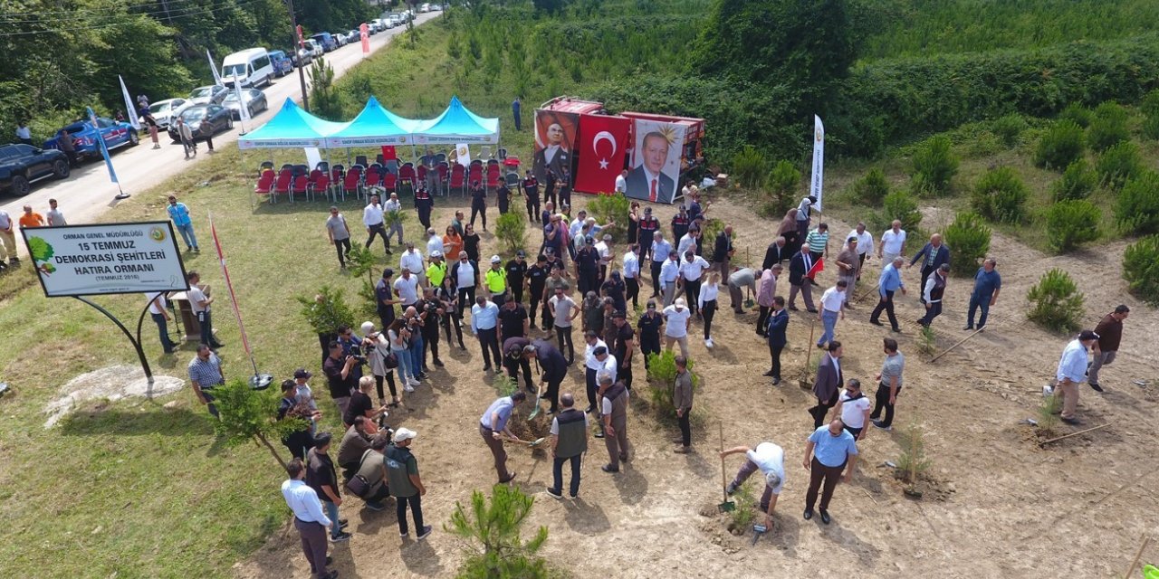Sinop’ta 15 temmuz şehitleri anısına 251 fidan toprakla buluştu