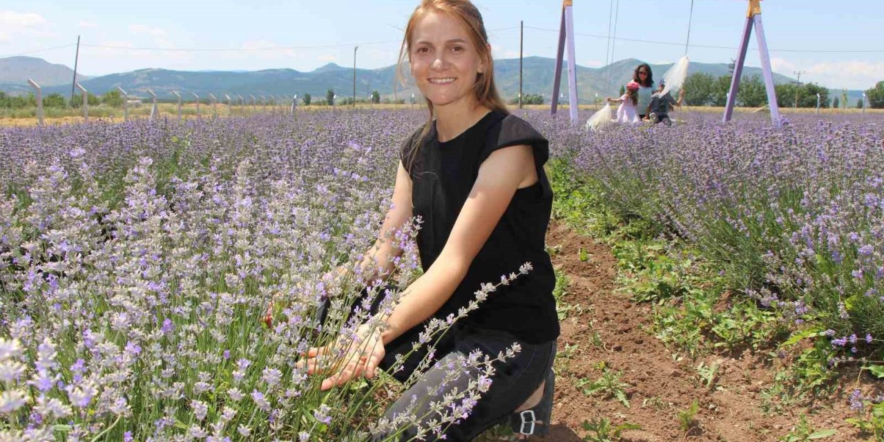 ‘Süpürge mi dikiyorsun?’ diyenlere inat lavanta yetiştirdi