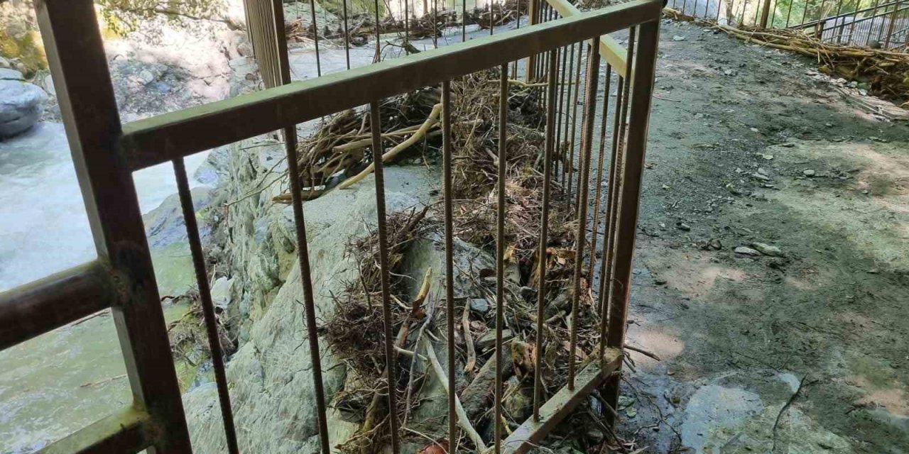 Sel sonrası tabiat anıtı alanları temizlendi