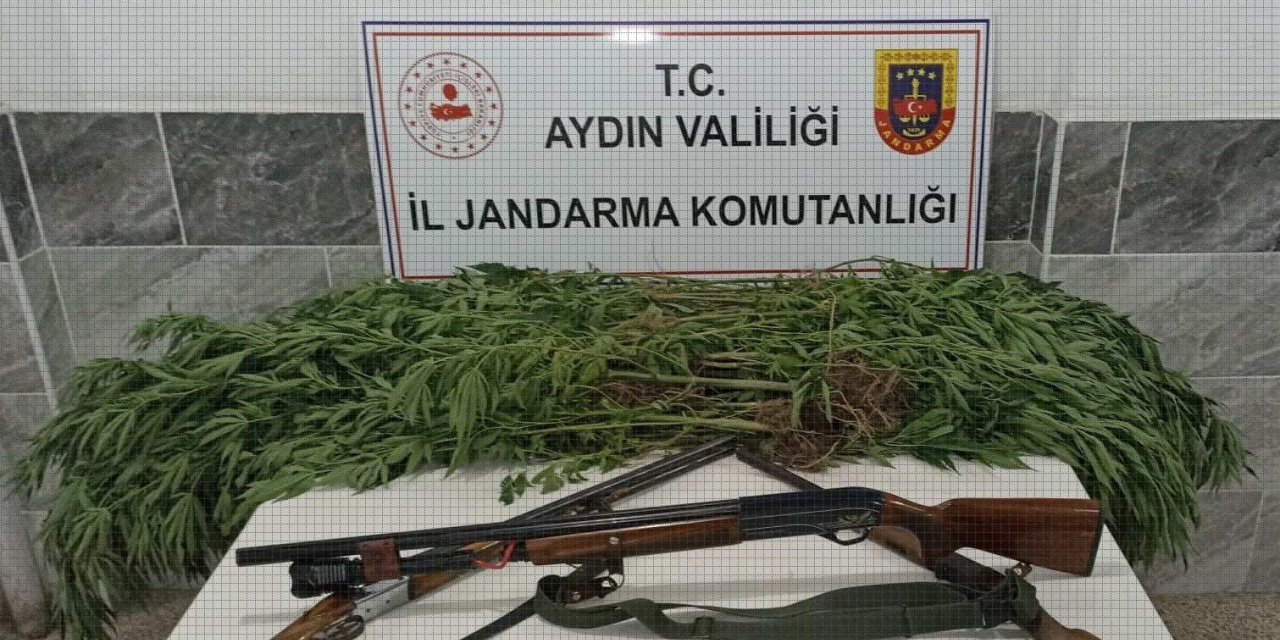 Zeytin bahçesinden uyuşturucu çıktı