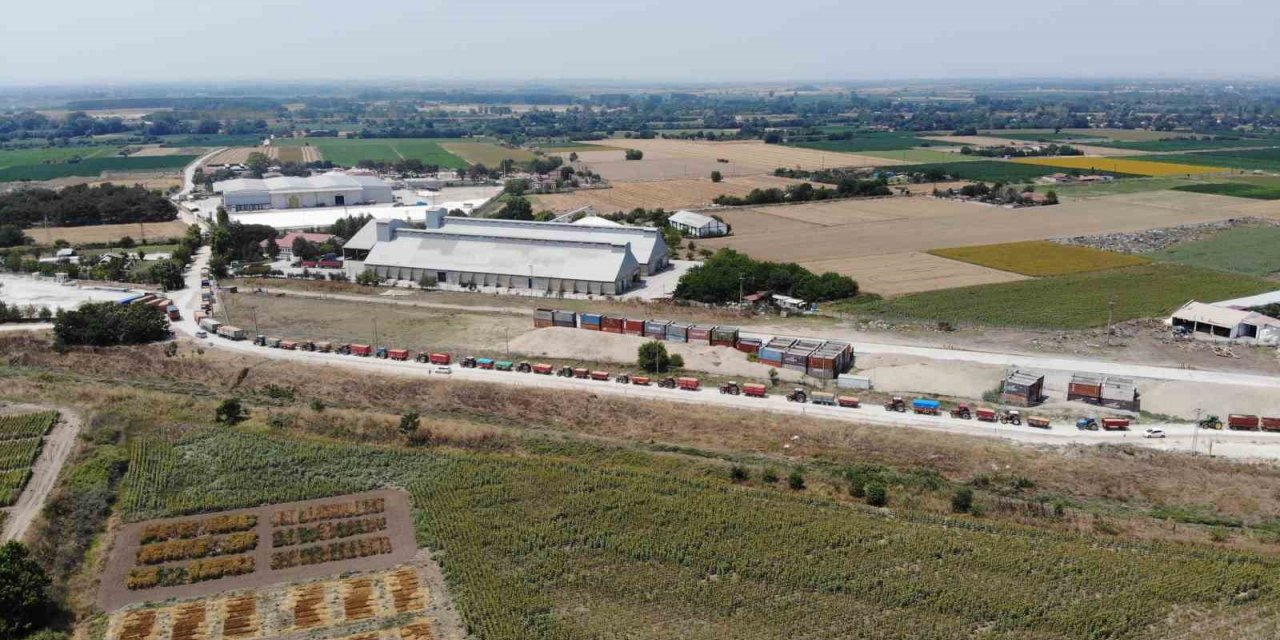 Uzun traktör kuyruğu oluşturan çiftçiler, kavurucu sıcağın altında ürünlerini satmayı sürdürüyor