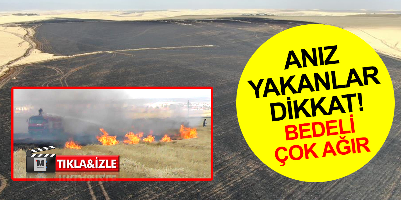 Konya Ovası'nda hasat zamanı anız yakımı uyarısı! Toprak verimsizleşiyor! Dekar başı ceza kaç lira?