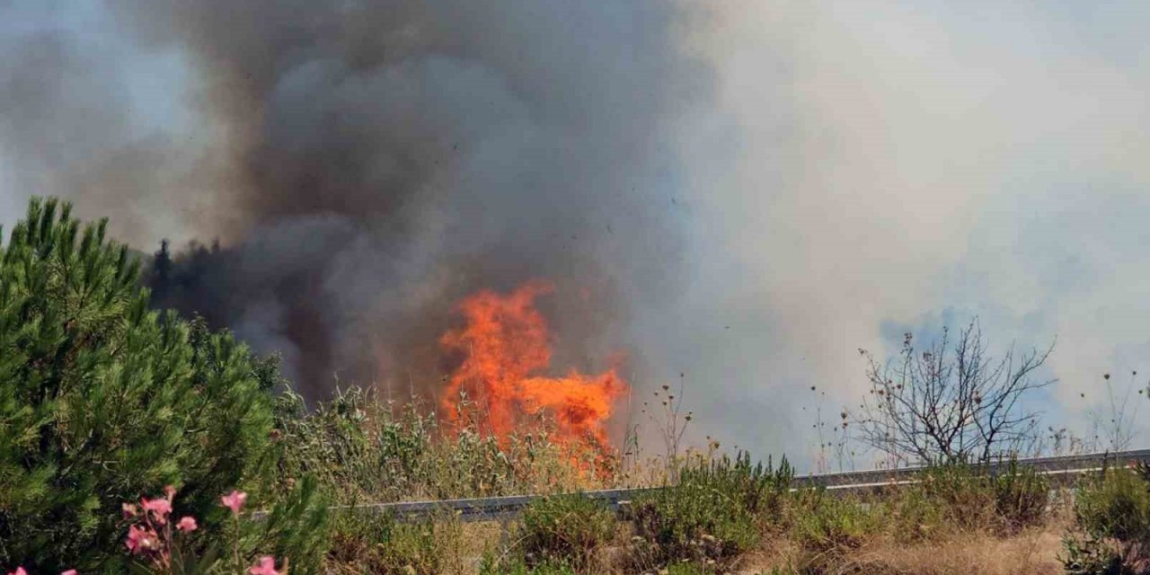 Bodrum Havalimanı kavşağında yangın