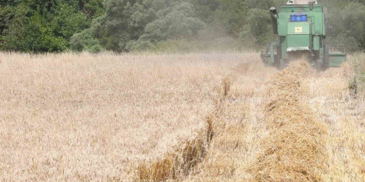 Lapseki’de Buğday Çeşit Demonstrasyon Tarla Günü düzenlendi
