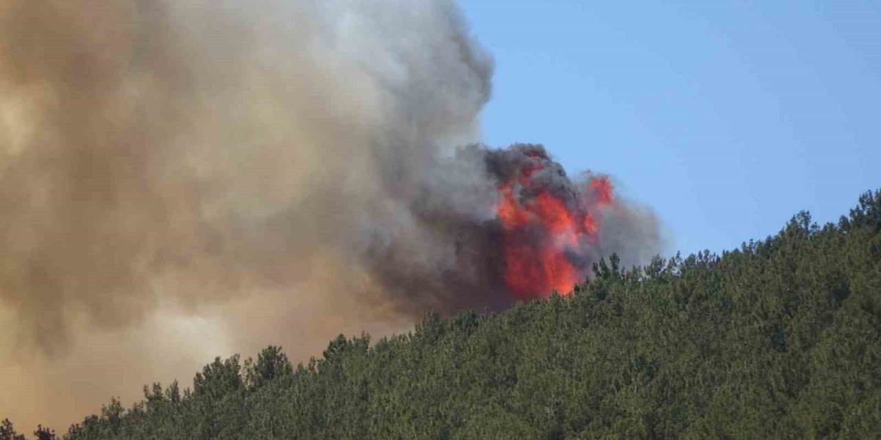 Kahramanmaraş’taki orman yangını söndürüldü