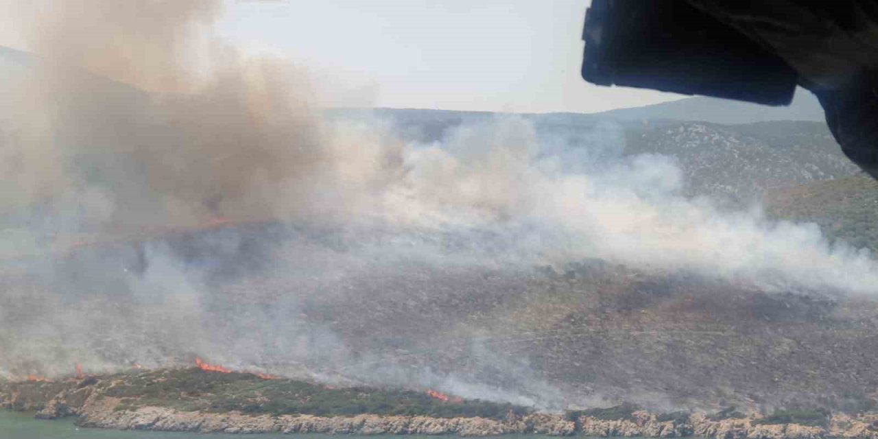 İzmir’de makilik alan yangınında 2 gözaltı