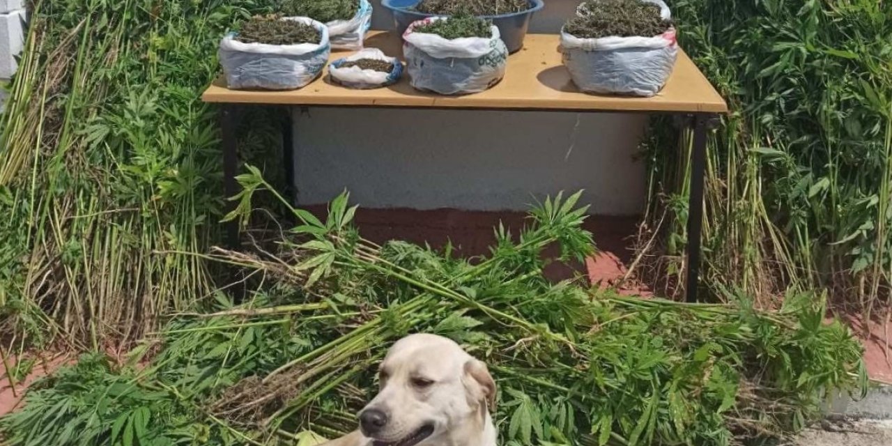 Edirne’de uyuşturucu operasyonu: 14 kilo 792 gram uyuşturucu ele geçirildi