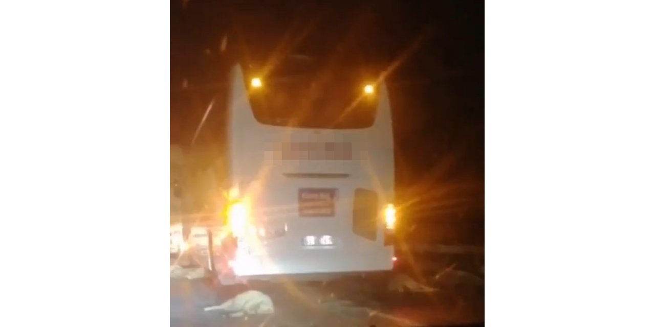 Koyun sürüsüne otobüs çarptı, hayvanlar telef oldu