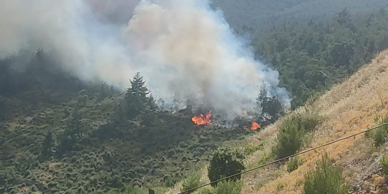 Balıkesir’de orman yangını kontrol altına alındı
