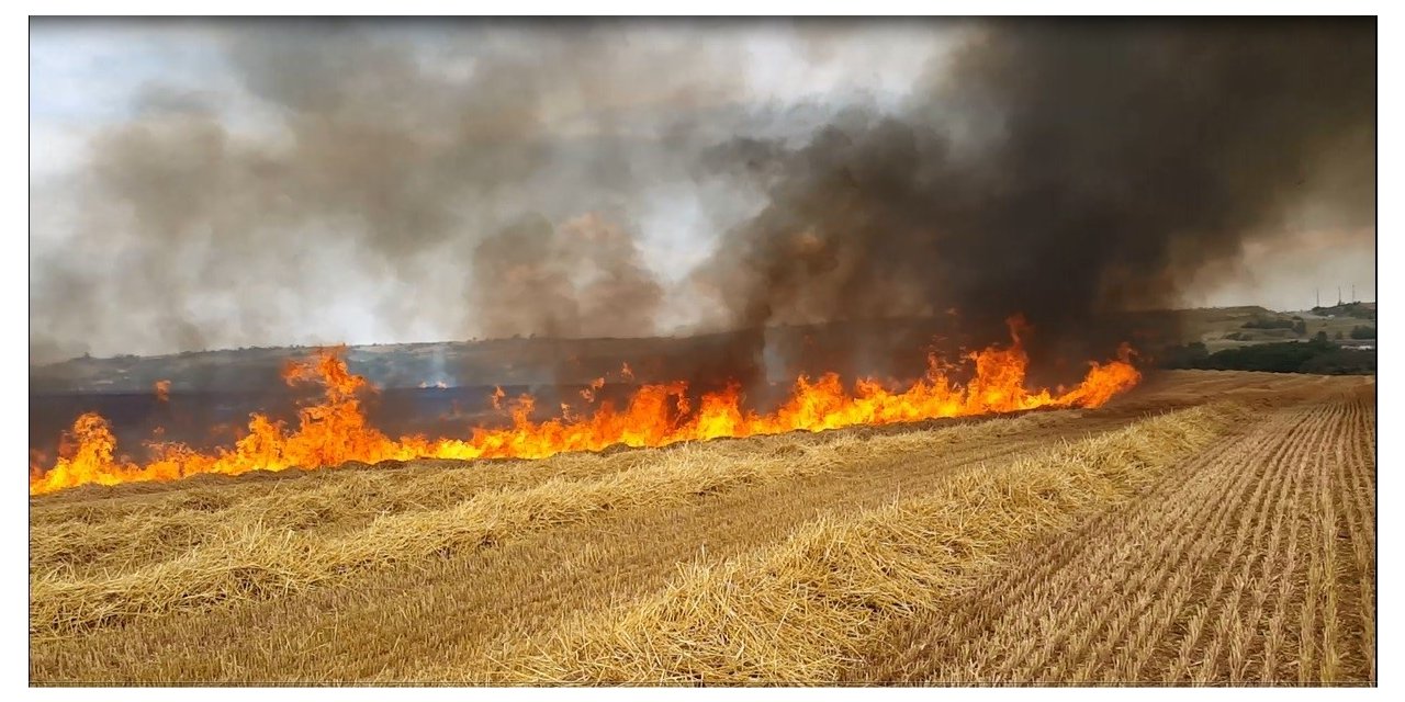 Aşırı sıcaklar hububat tarlalarında yangın riskini artırıyor