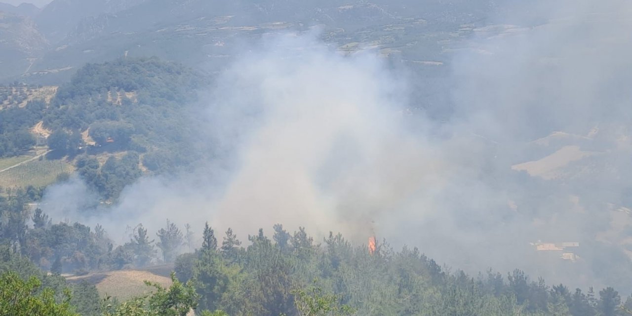 Osmaniye’de orman yangını, ekipler müdahaleye başladı