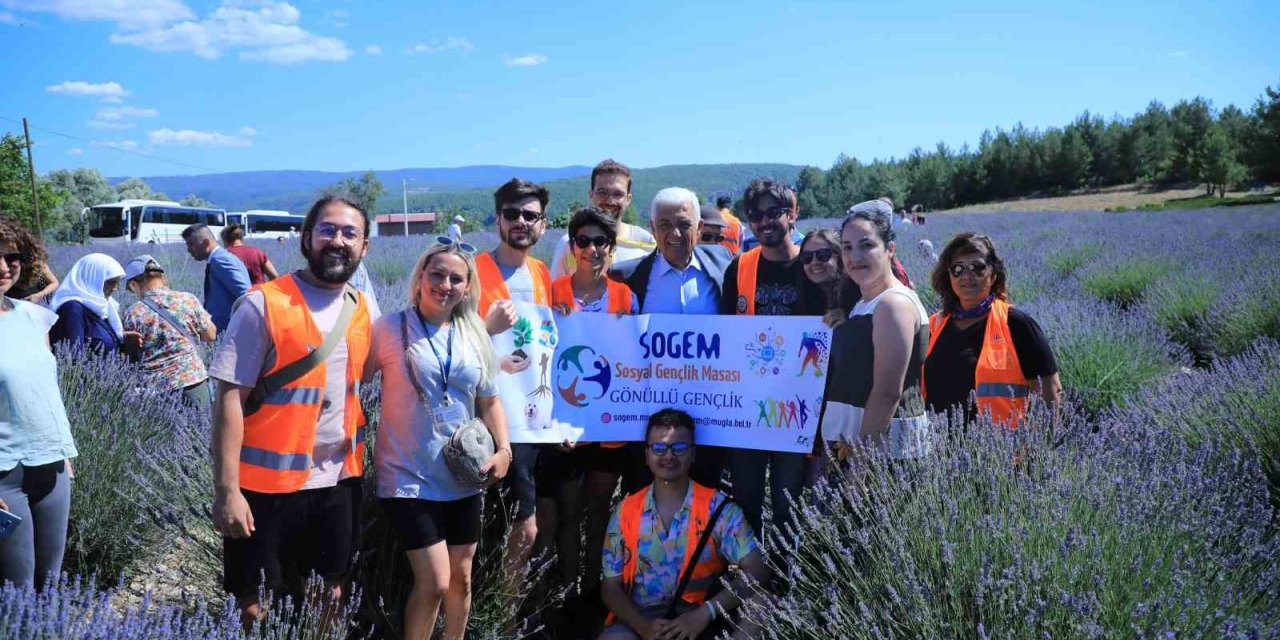 Koku Vadisi’nde Lavanta şenliği düzenleniyor