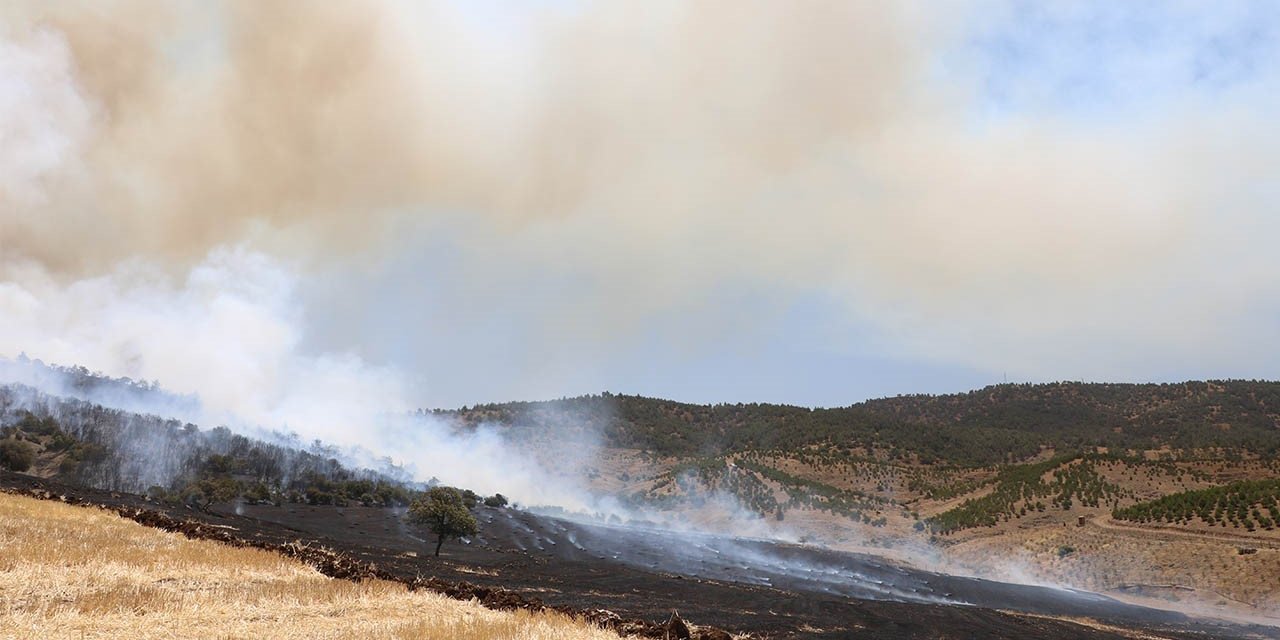 Kahramanmaraş’taki orman yangını kontrol altına alındı