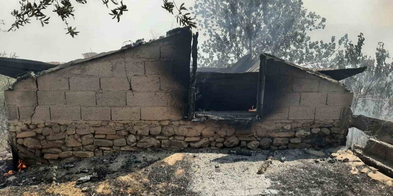 Osmaniye’deki orman yangını: 3 ev kullanılamaz hale geldi müdahale sürüyor