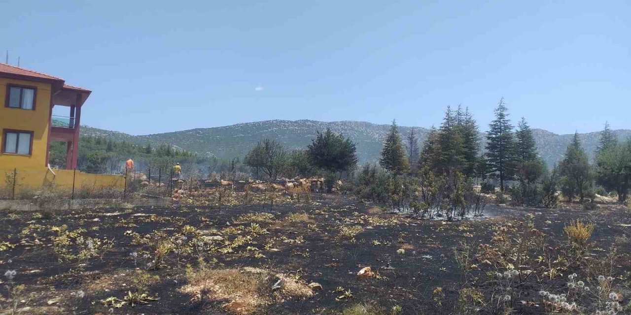 Antalya’da çalılık alanda yangın