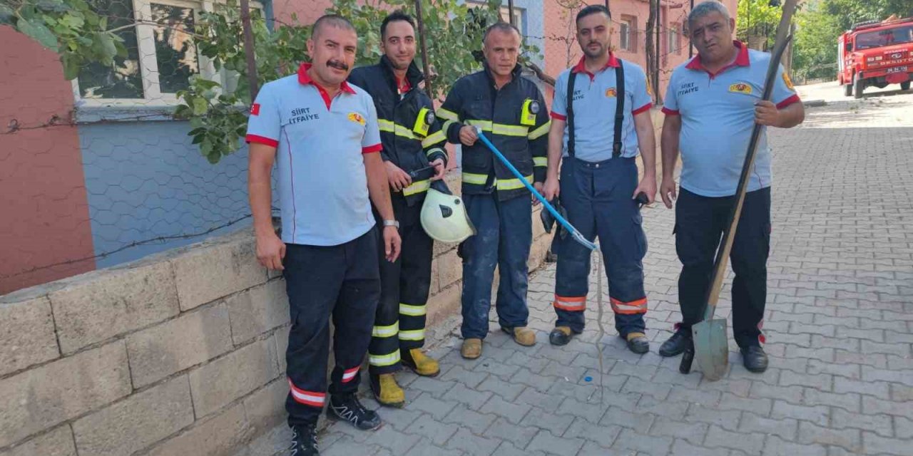 Siirt’te evde görülen yılan paniğe neden oldu