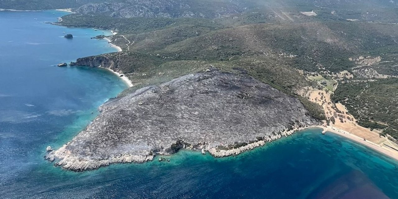 İzmir’deki orman yangınında gözaltına alınan şüpheliler serbest bırakıldı