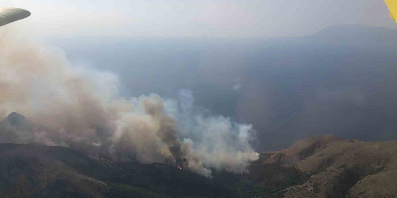 Gökçeada’da orman yangını