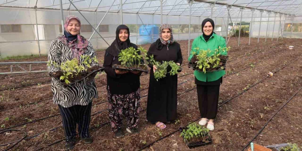 Kadın girişimcilere destek