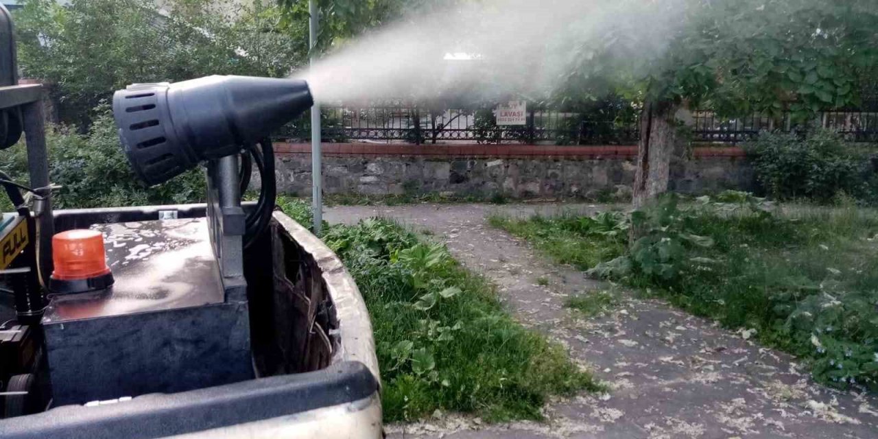 Kars Belediyesi ilaçlama yapıyor