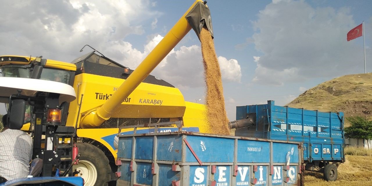 Yavuzeli’nde buğday ve arpa hasadı sürüyor