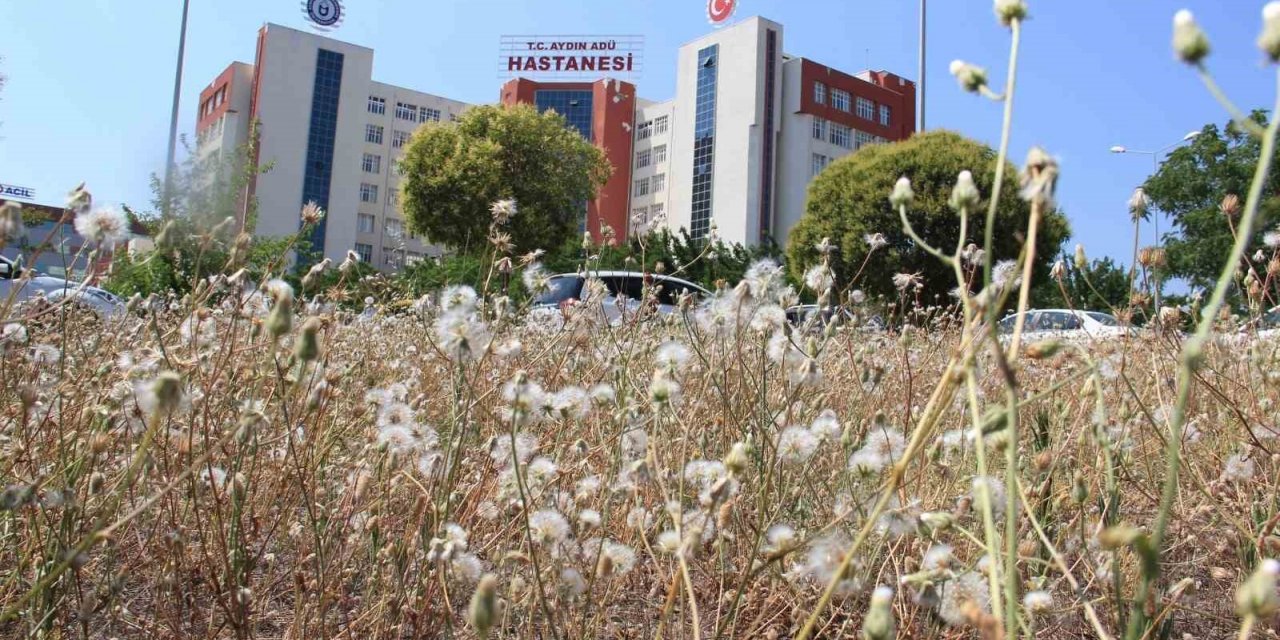 ADÜ’de bir ilk yaşandı, hemşireler maaşlarını alamadı