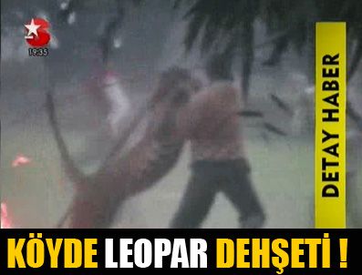Leopar köy bastı