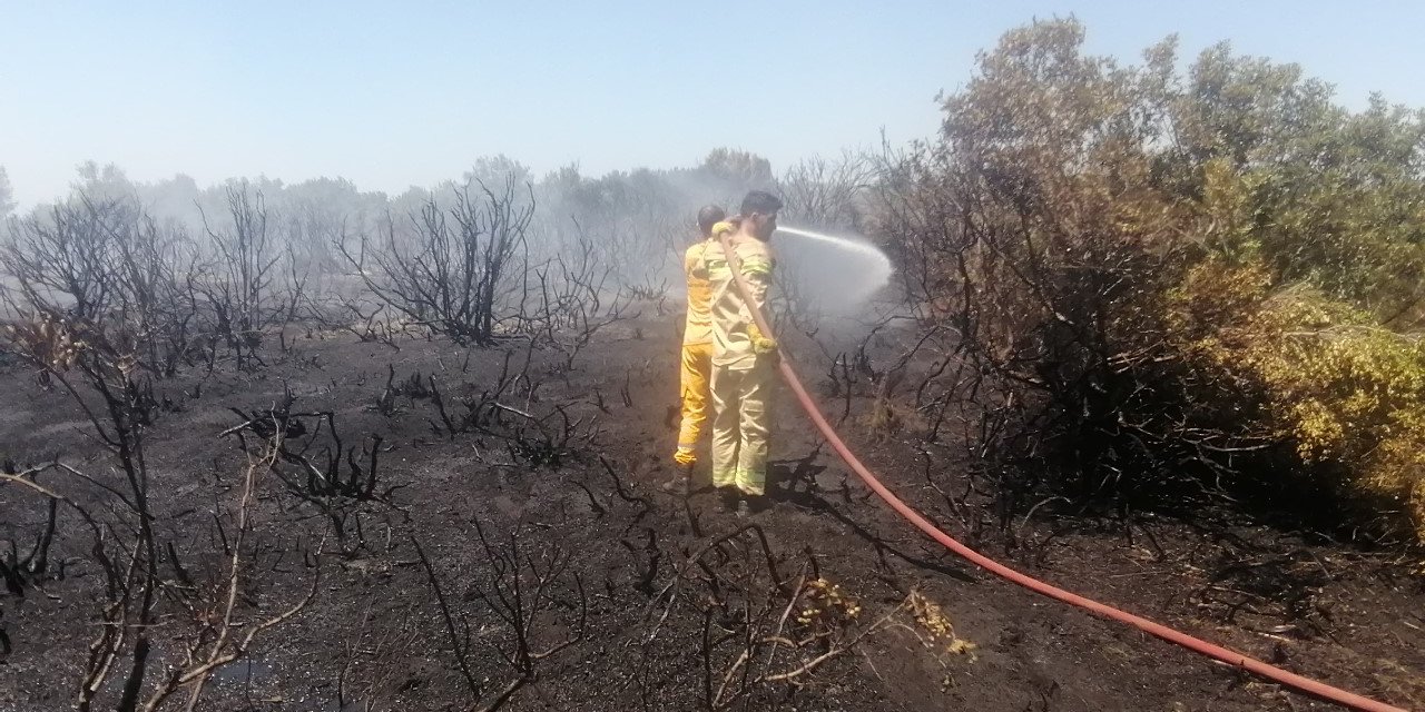 Antalya’da çıkan orman yangını kontrol altına alındı