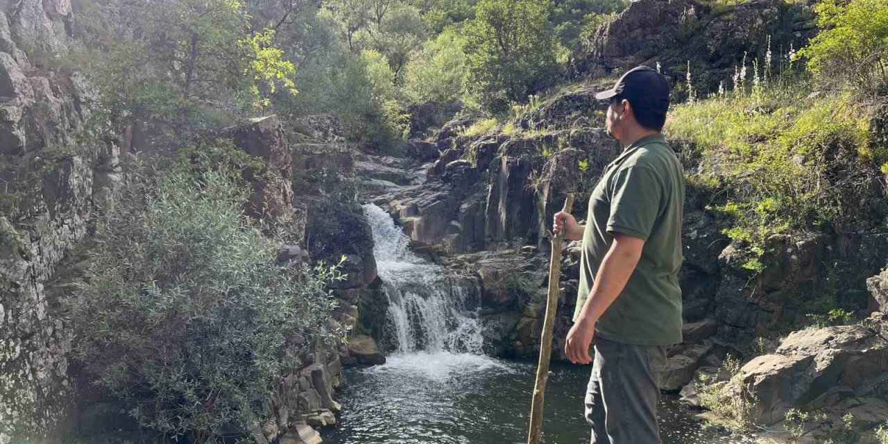 Doğal güzelliği ile mest eden şelale keşfedilmeyi bekliyor