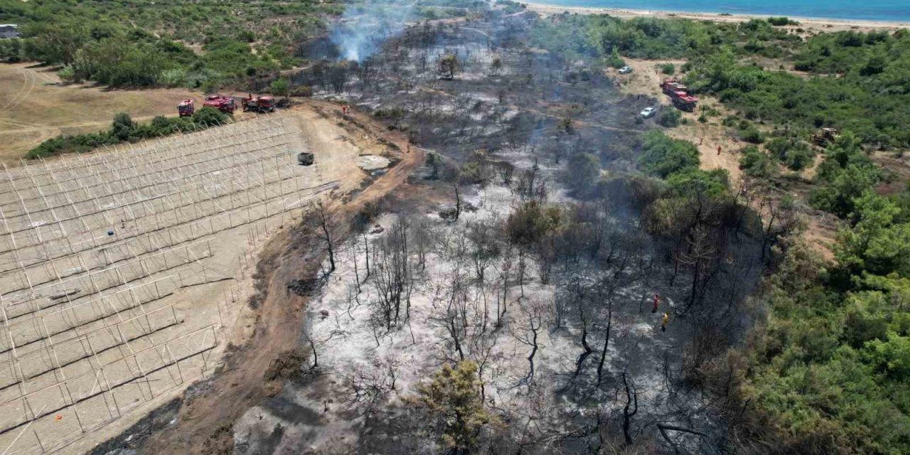 Manavgat’taki orman yangınında ihmal iddiası