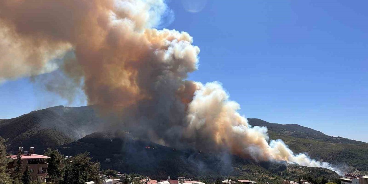 Hatay’da orman yangını