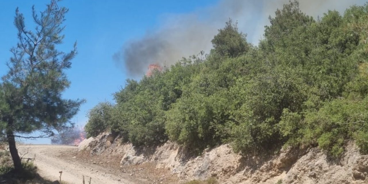 Osmaniye Hasanbeyli’de orman yangını