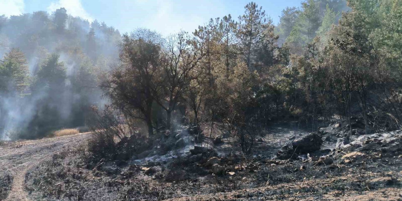 Bolu’da orman yangını kontrol altına alındı