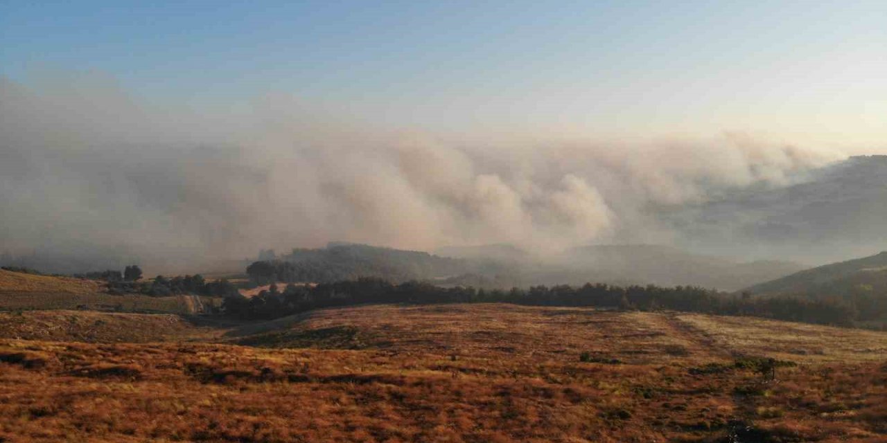 Çanakkale’deki orman yangını dron ile havadan görüntülendi
