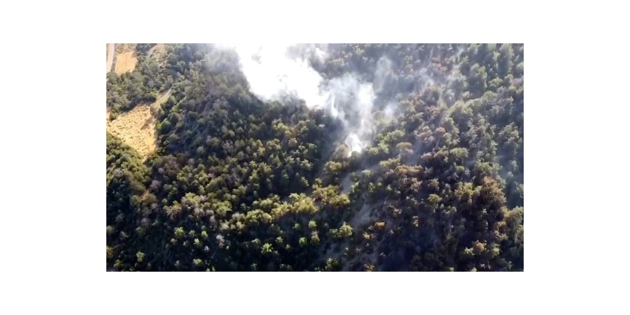 Bolu’da çıkan orman yangınında 5 hektarlık alan küle döndü