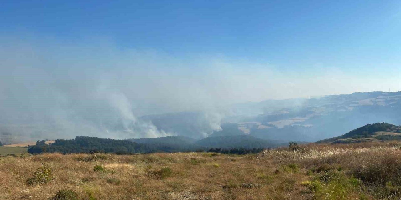 Orman yangını 18 saattir kontrol altına alınmaya çalışılıyor