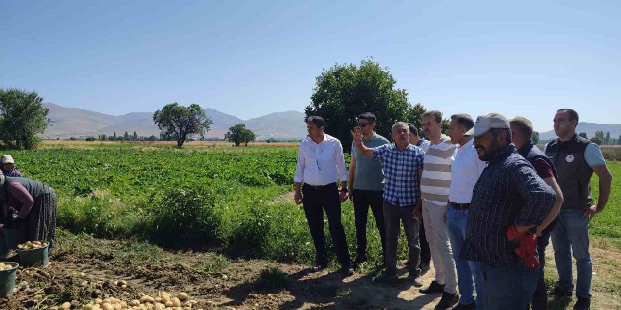 Patateste aşırı yağışlardan dolayı rekolte kaybı yaşandı