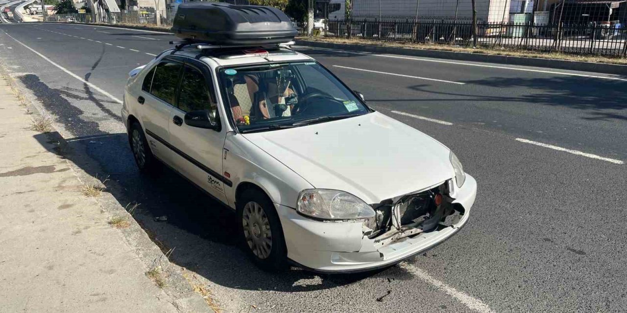 Anayola atlayan köpek kazaya sebep oldu