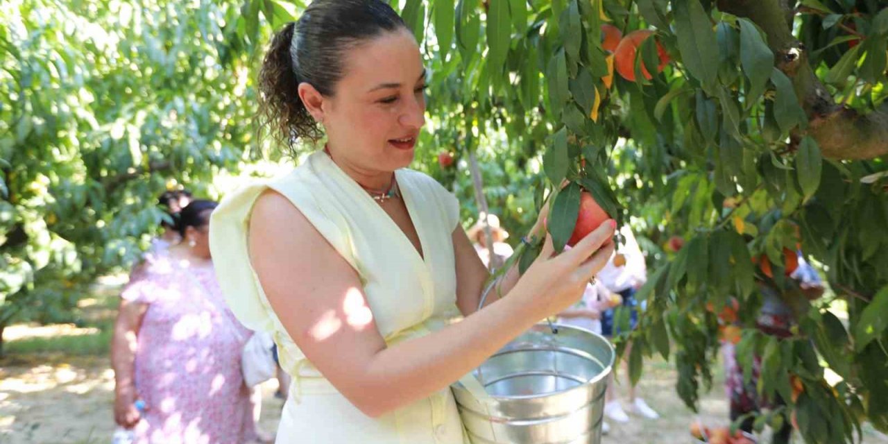 Üretici ve halk Belevi Şen Şeftali Şenliği’nde buluştu