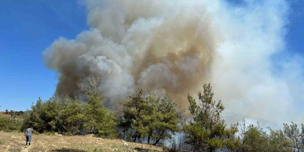Adana’da orman yangını çıktı