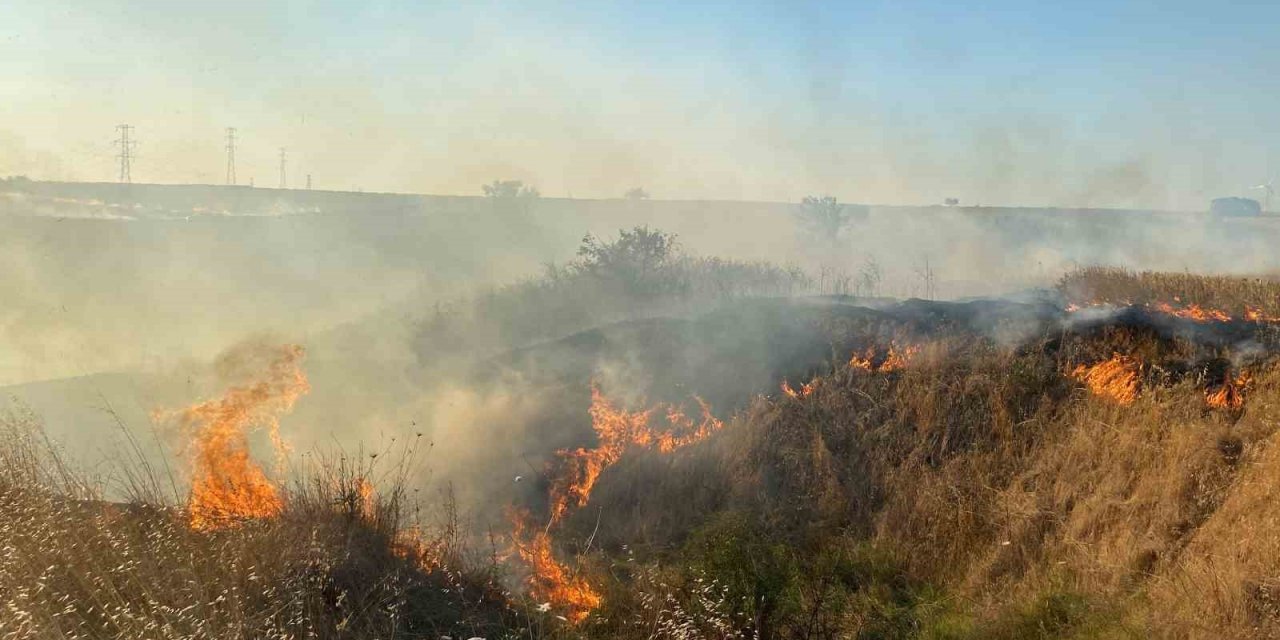 100 dönüm anız cayır cayır yandı: İstanbul-Edirne yolu trafiğe kapandı